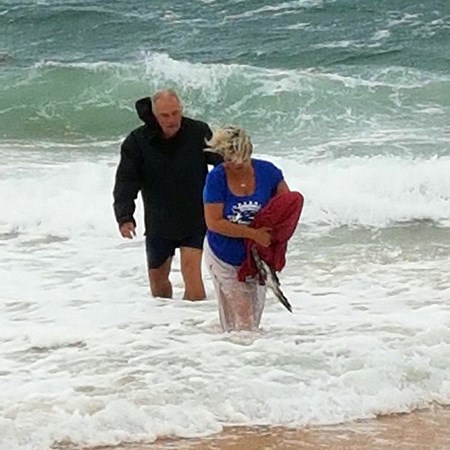 Cathy saving a Gannet