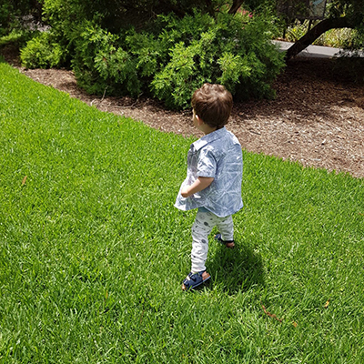 Little boy walking in freshly cut grass