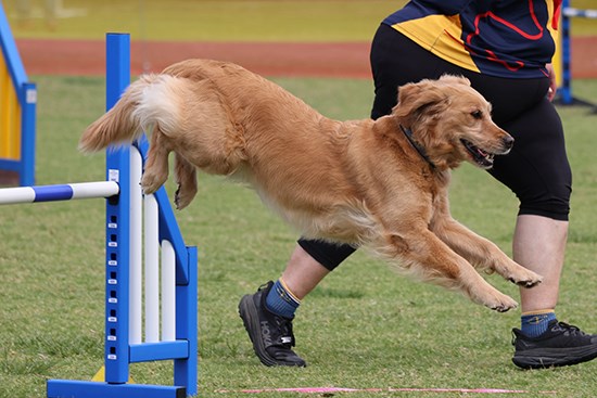 Bronwen with her dog